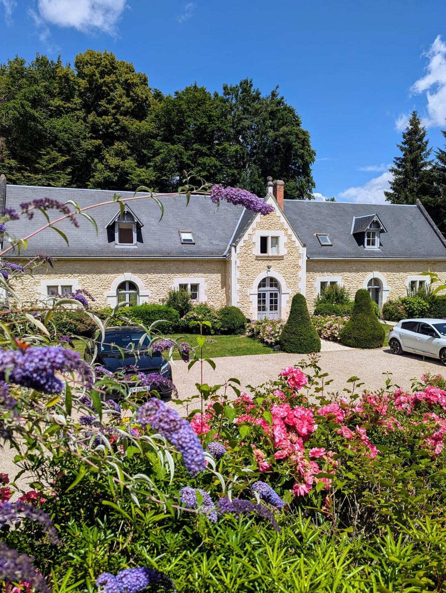 Chateau De La Menaudiere Chissay-en-Touraine Εξωτερικό φωτογραφία