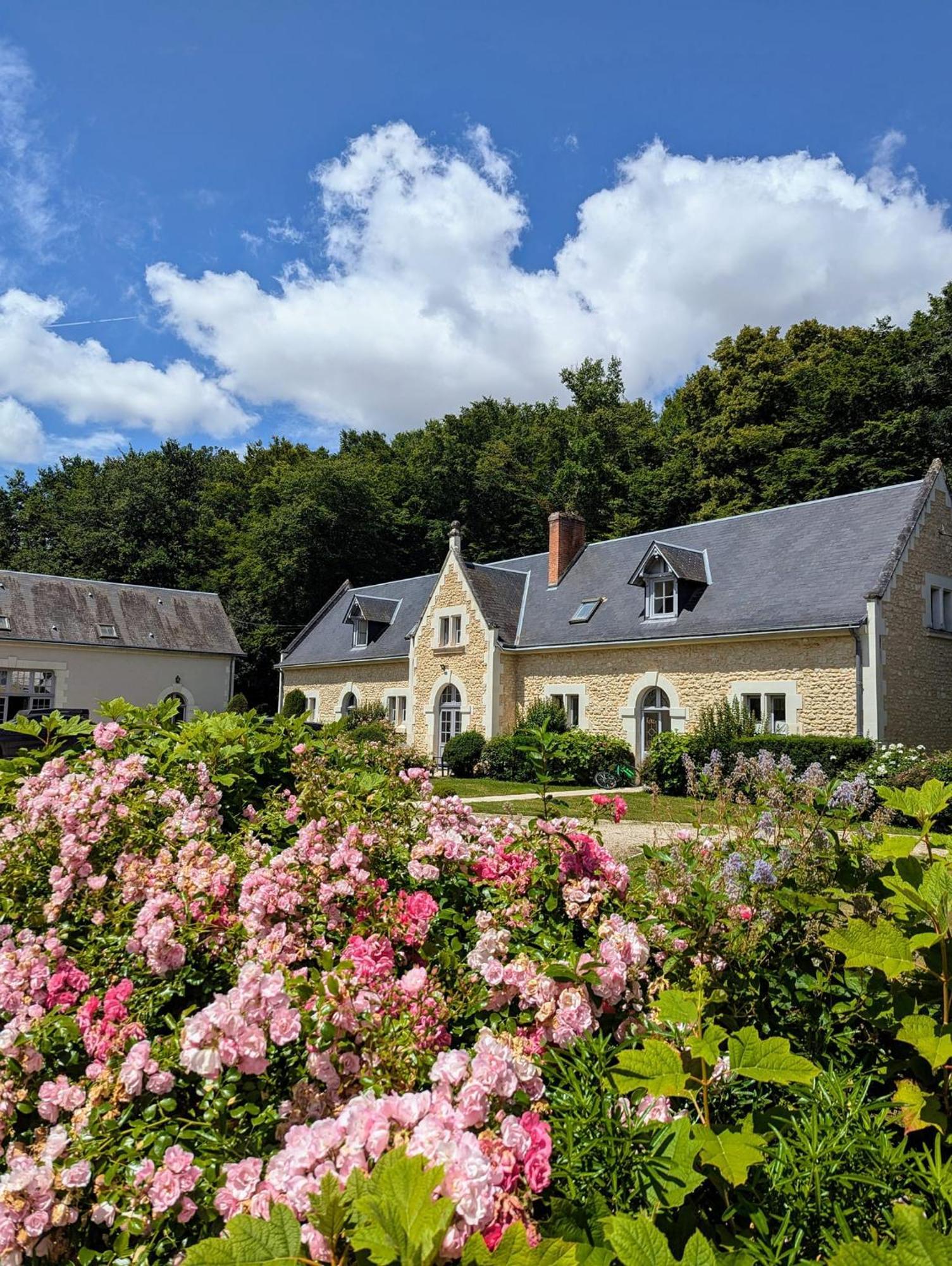 Chateau De La Menaudiere Chissay-en-Touraine Εξωτερικό φωτογραφία